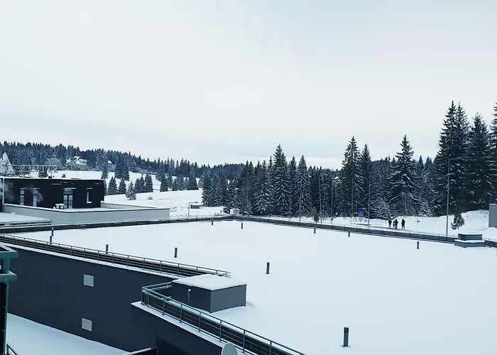 Apartment A36 Silver Mountain