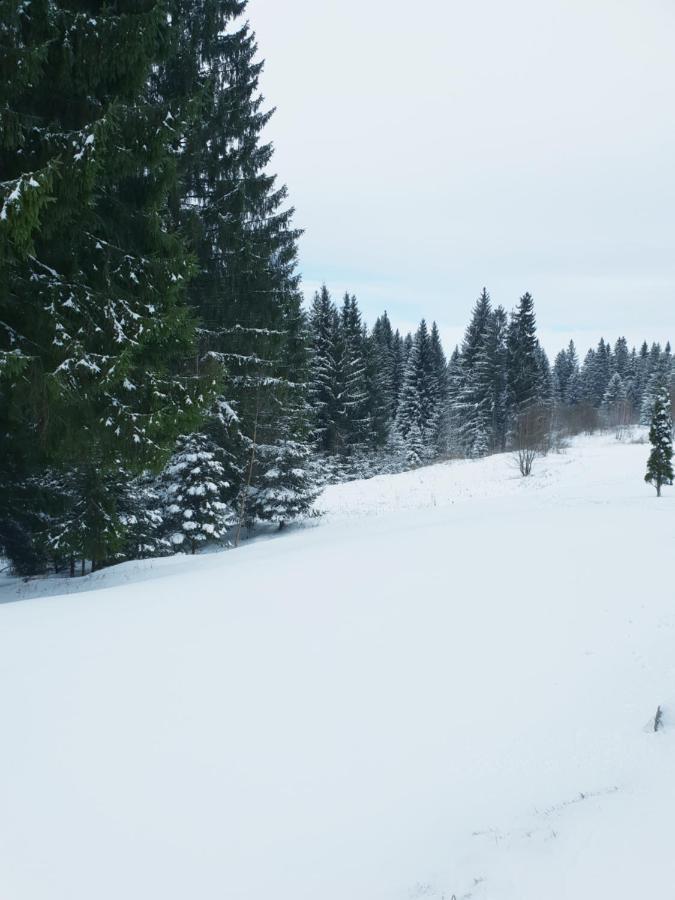 A36 Silver Mountain Apartment Poiana Brasov