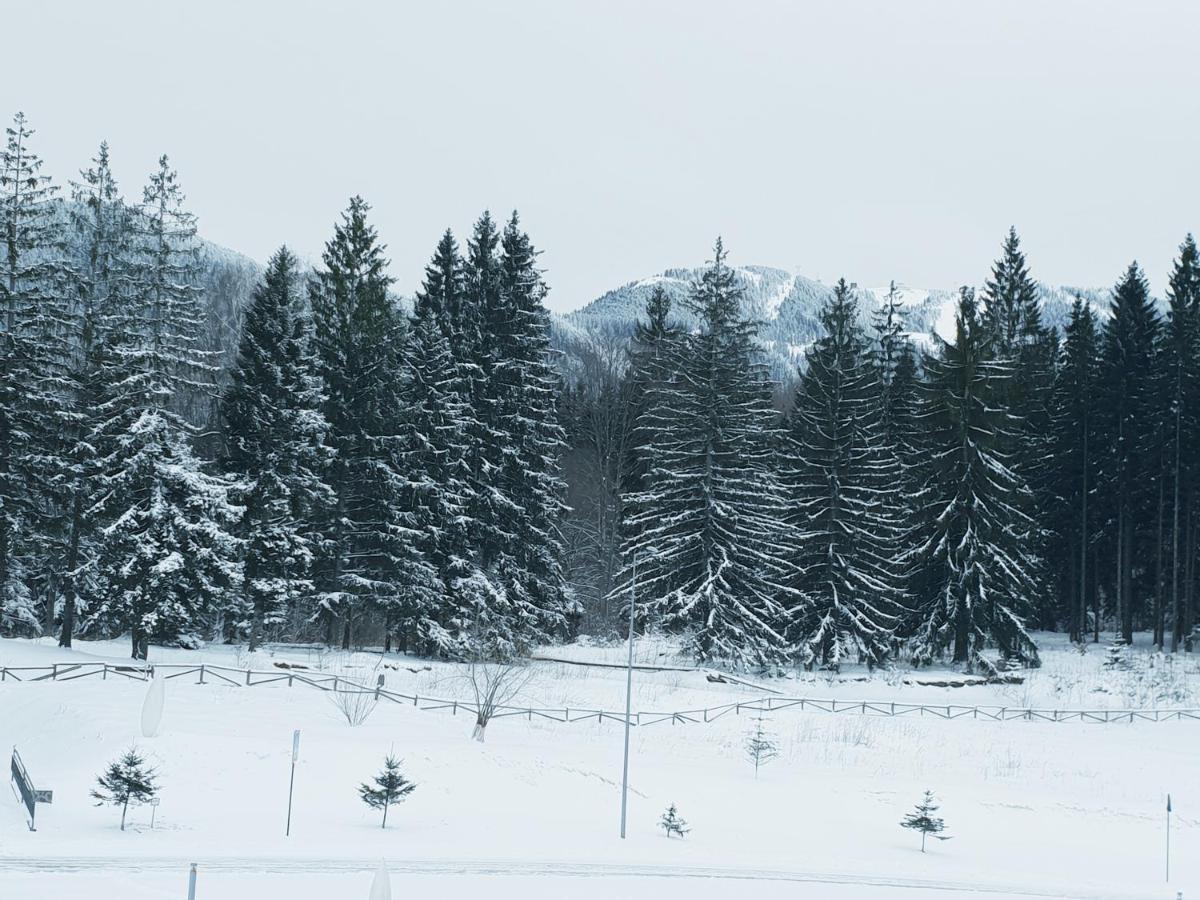 A36 Silver Mountain Poiana Brasov