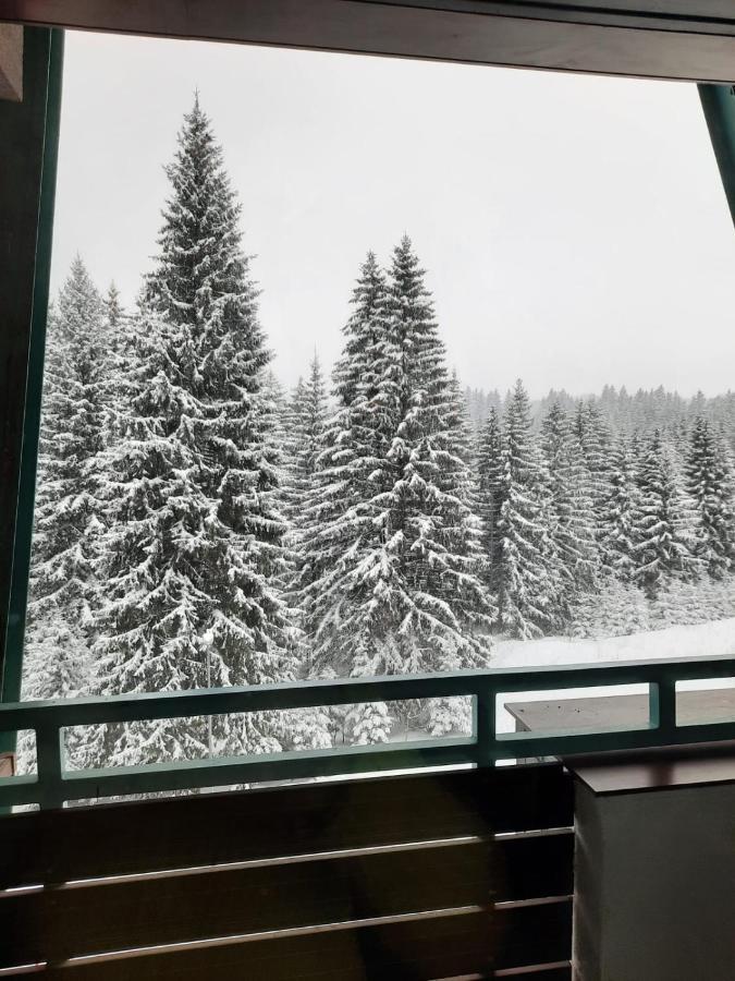 Apartment A36 Silver Mountain *